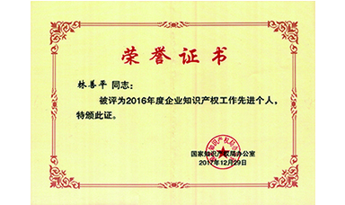 林善平榮獲國家“企業(yè)知識產權工作先進個人”